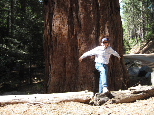 image017 w600